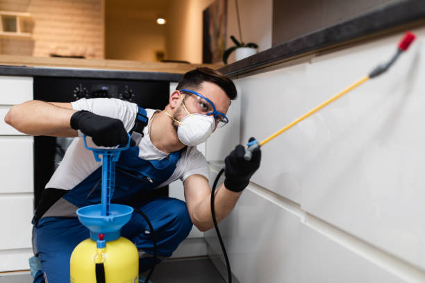 Professional Pest Control in Oak Grove, LA