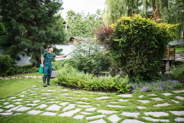 Best Insect Control  in Oak Grove, LA